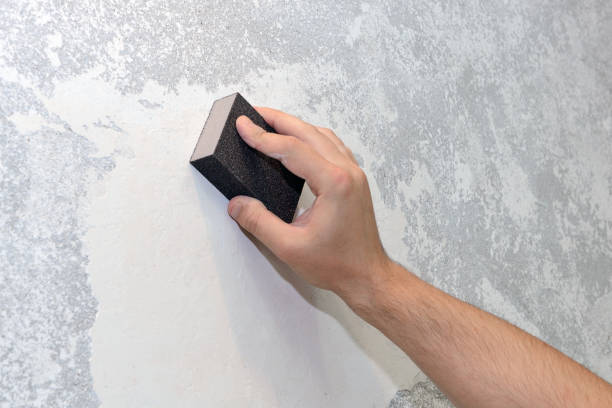 Best Mold Odor Removal Services  in Ipswich, SD