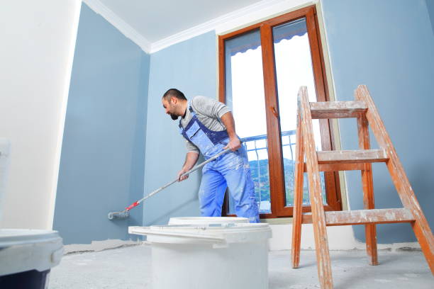 Best Emergency Mold Remediation  in Ipswich, SD