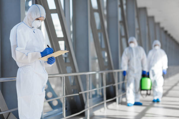 Best Post-Construction Mold Inspection  in Ipswich, SD