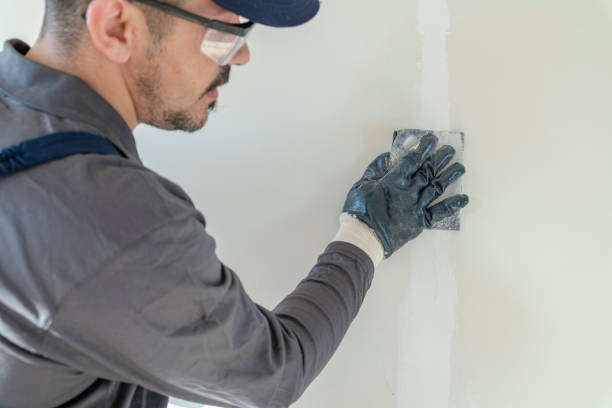 Best Comprehensive Air Testing for Mold Contaminants  in Ipswich, SD