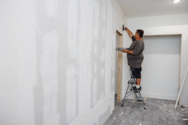 Best Mold Removal for HVAC Installations  in Ipswich, SD