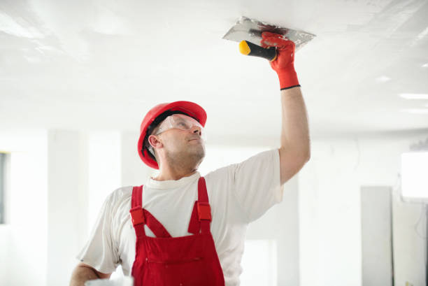 Best Black Mold Removal  in Ipswich, SD