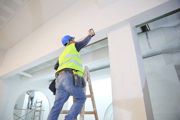 Best Residential Mold Inspection & Testing  in Ipswich, SD